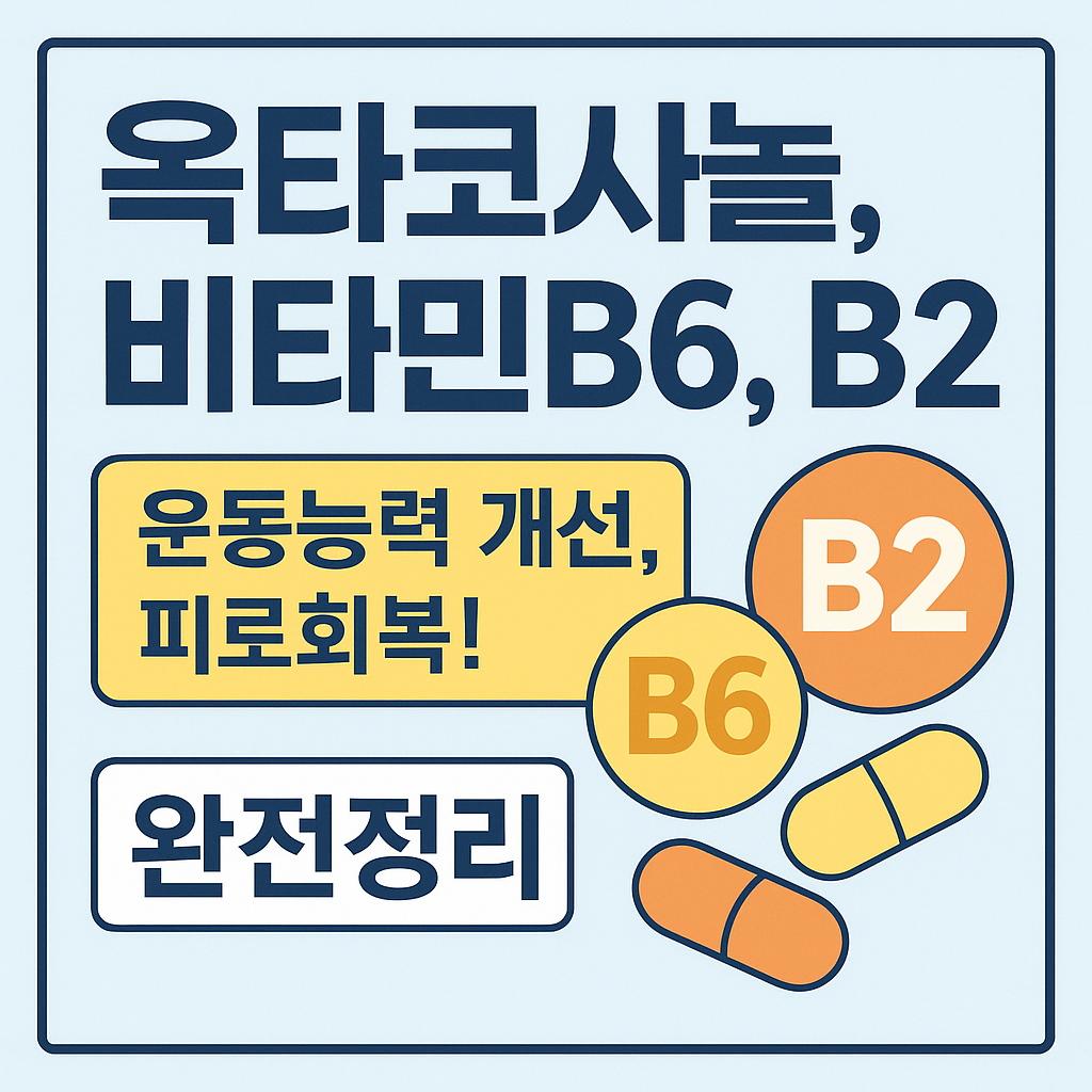 옥타코사놀, 비타민 B6, B2 완전정리 – 피로 회복과 에너지 대사 핵심 영양소